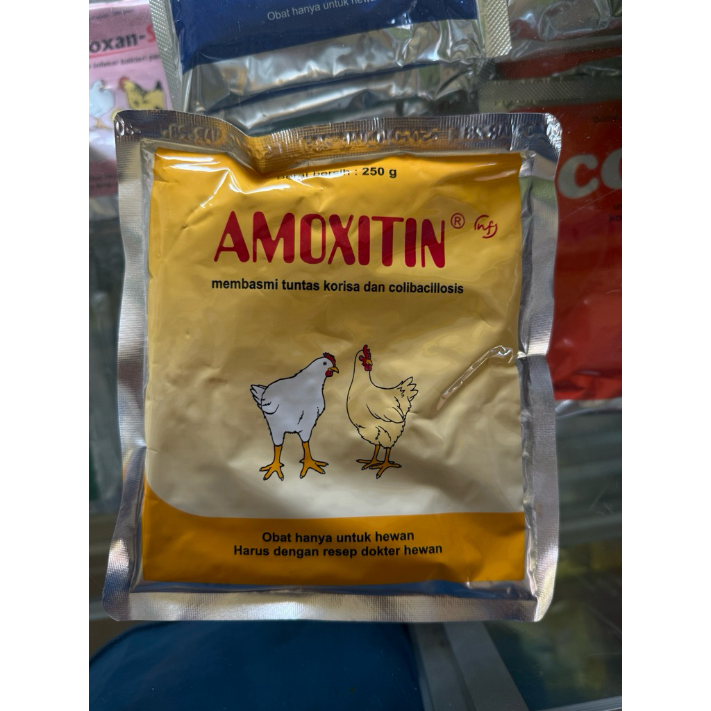 amoxitin 250g