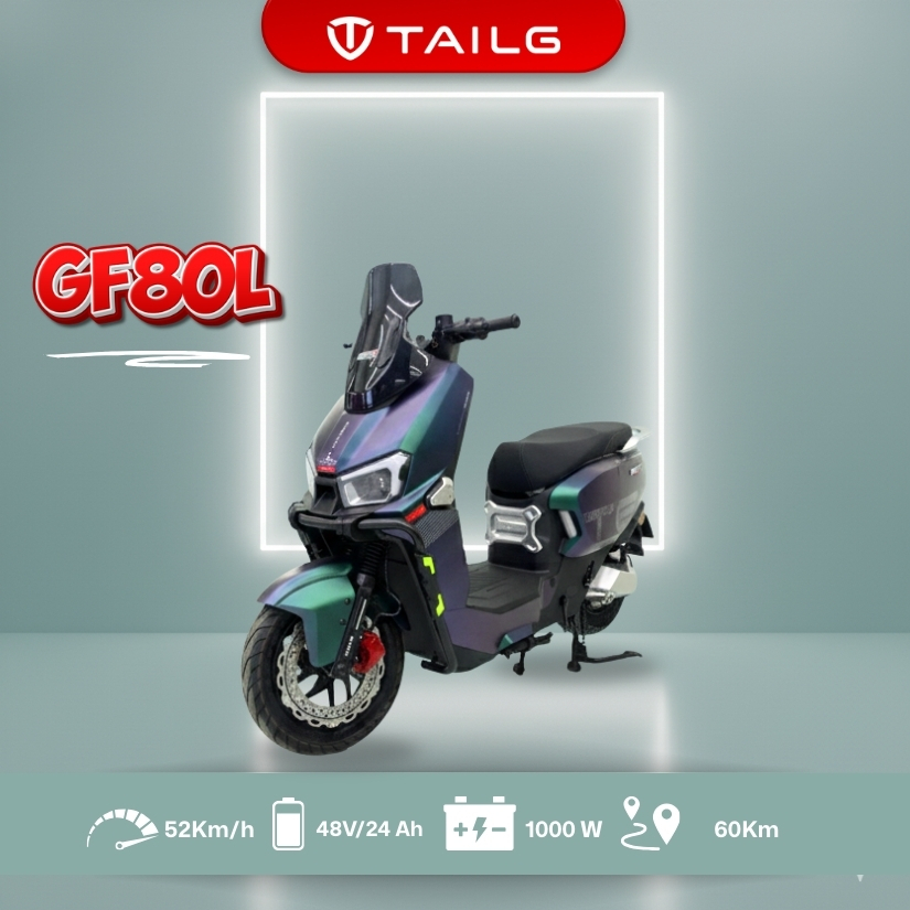 Sepeda Listrik Tailg GF80L 1000W 52km/h