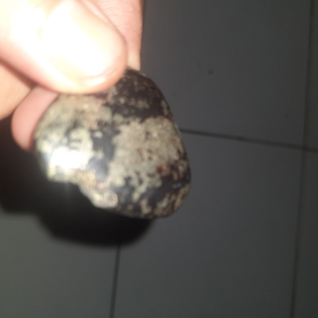 badar perak badar emas jumbo