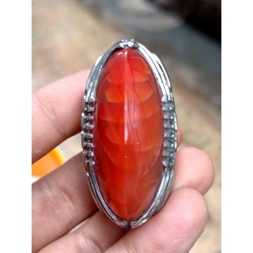 Pandan Merah Jamblang