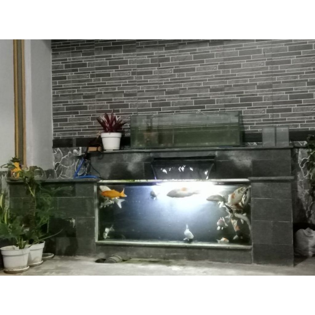 terimaa jasaa pembuatan kolam ikan koi kaca minimalis murah/tukang kolam jakarta/pembuatan kolam ika