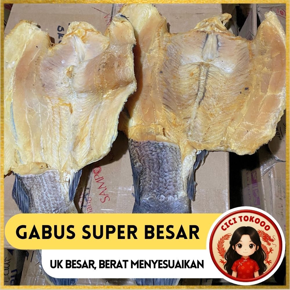 Gabus Super Besar | Gabus Ekoran | Ikan Gabus Super Jumbo | Ikan Asin