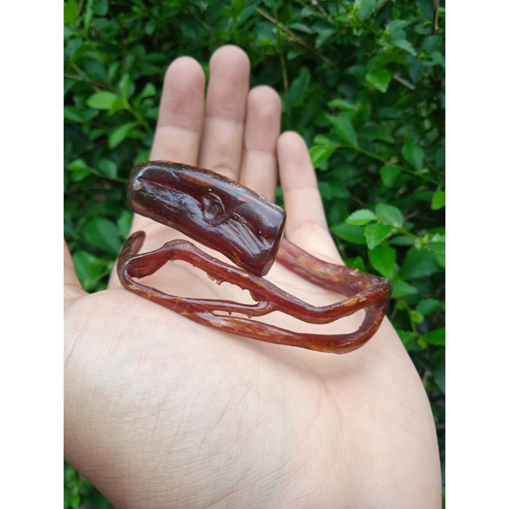 gelang akar bahar merah tembus cahaya combong asli