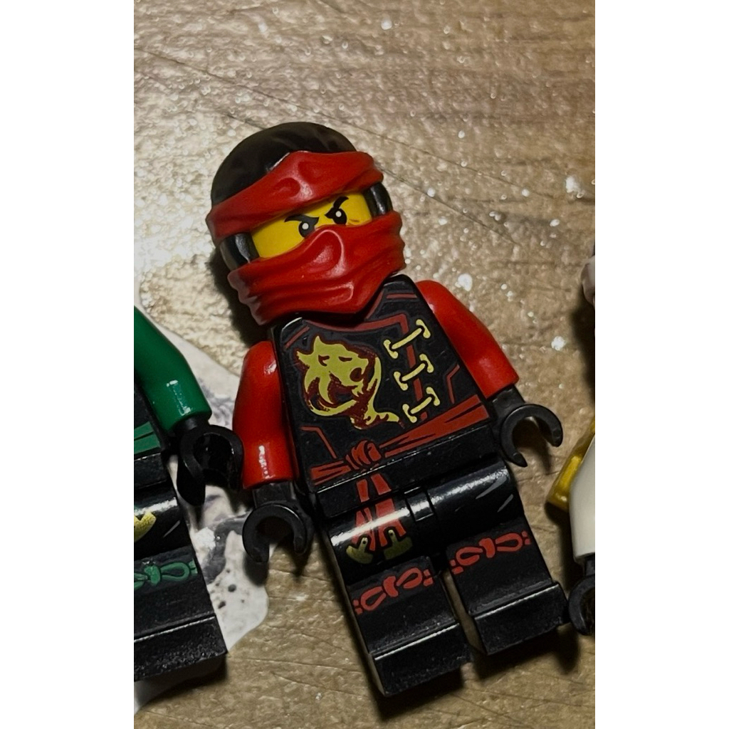 Book Skybound and ZX Kai Ninjago