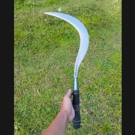 rumput laess panjang 50cm arit bintang5