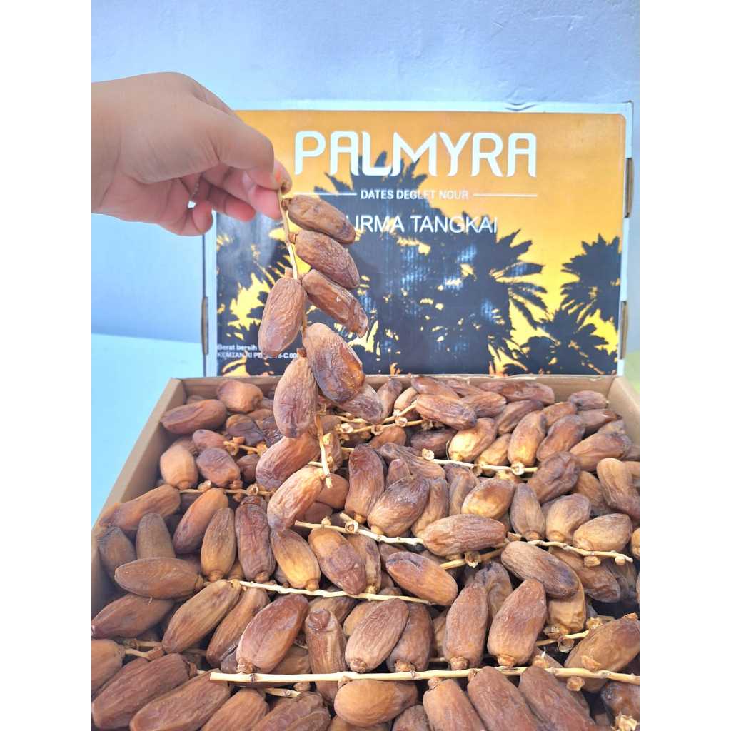 Kurma Tunisia Tangkai 5Kg Palmyra Jood FRESH Terbaru
