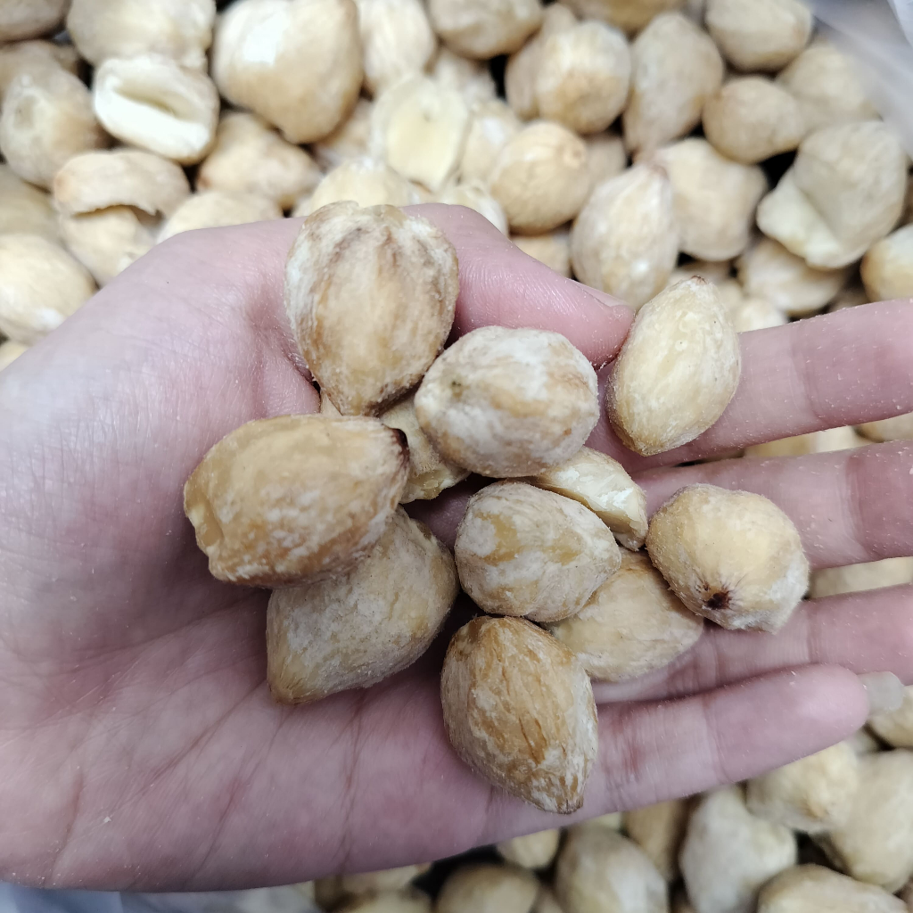 KEMIRI UTUH | KEMIRI MENTAH UTUH 1KG