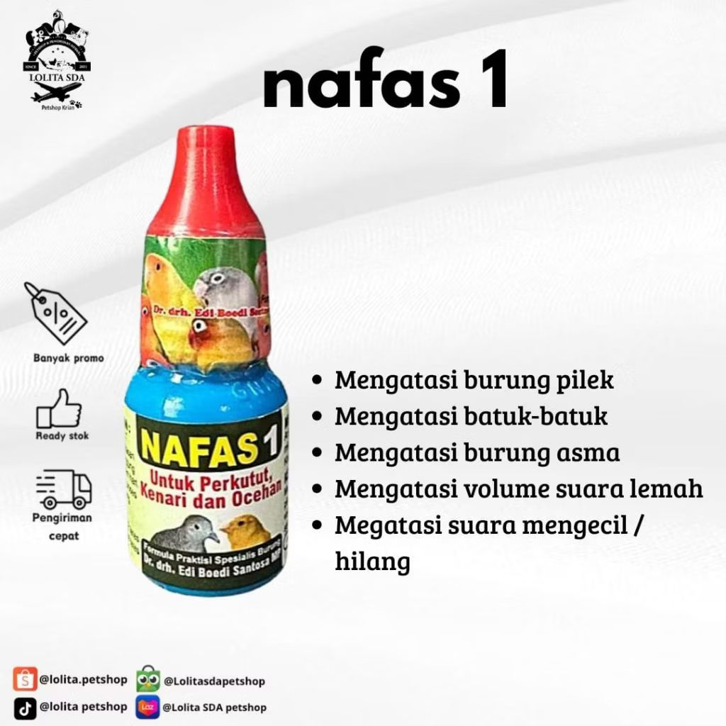 Nafas 1 untuk burung perkutut kenari dan ocehan mengatasi gangguan pernafasan pilek