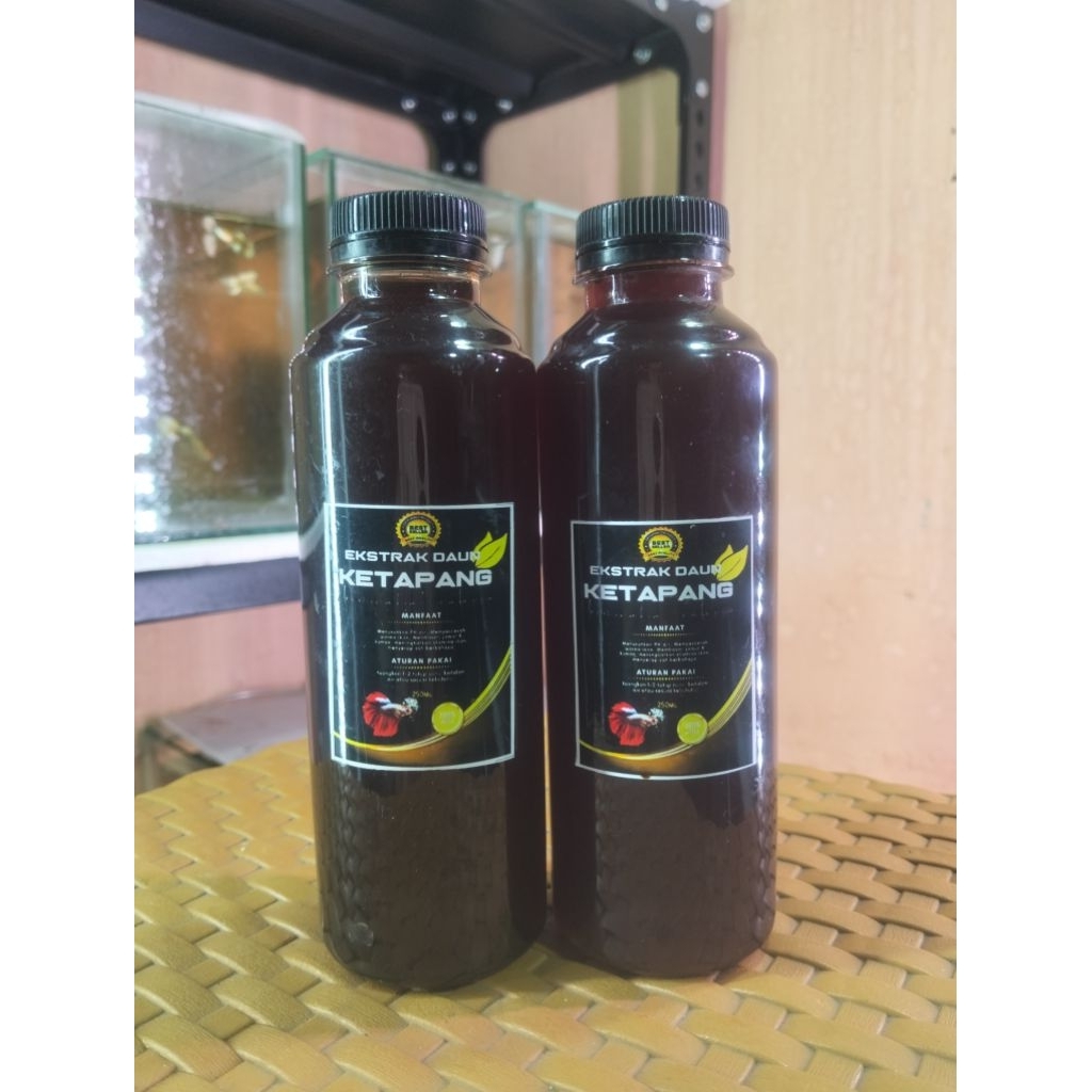 Ekstrak Daun Ketapang Laut Murni Untuk Menstabilkan Air PH Air Ikan - Pencegah Penyakit Ikan Cupang 