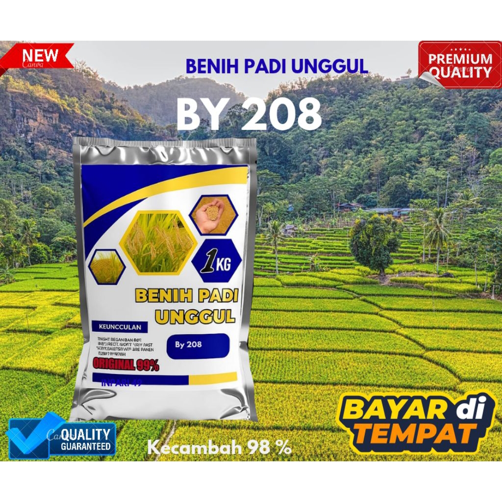 BENIH PADI BY 208 TERBARU KEMASAN 1KG KUALITAS TERBAIK ORIGINAL