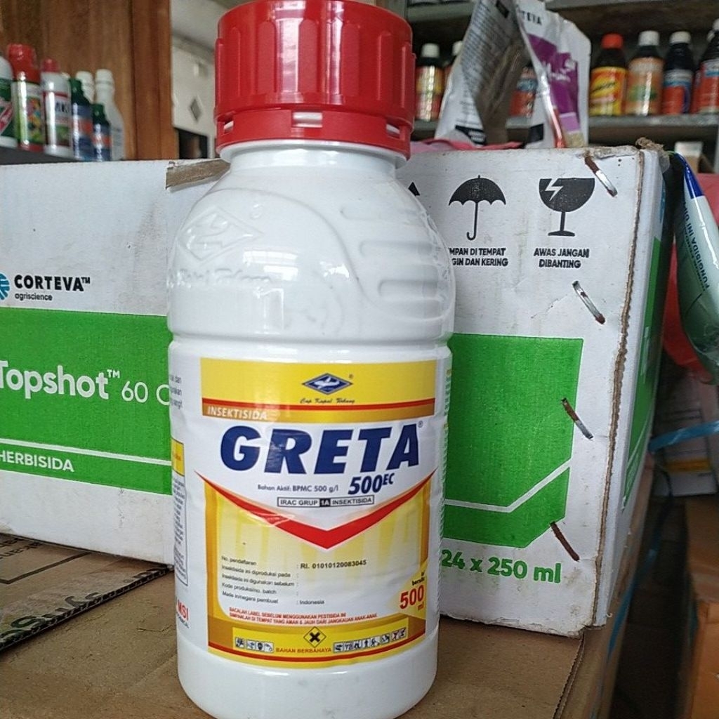 GRETA PEMBSMI HAMA WALANG SANGIT PADI