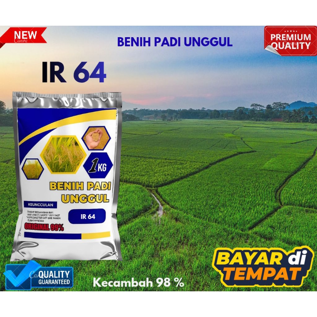 BENIH PADI IR 64 1kg bibit padi UNGGUl berkualitas