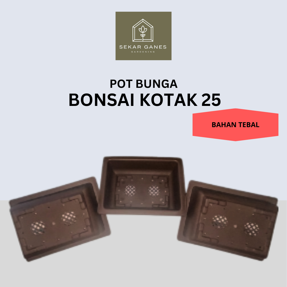 SG Pot Bonsai Kotak 25 COKLAT Pot Plastik Persegi Panjang NKT Pot Bunga Tanaman Bonsai 20 Putih Shal