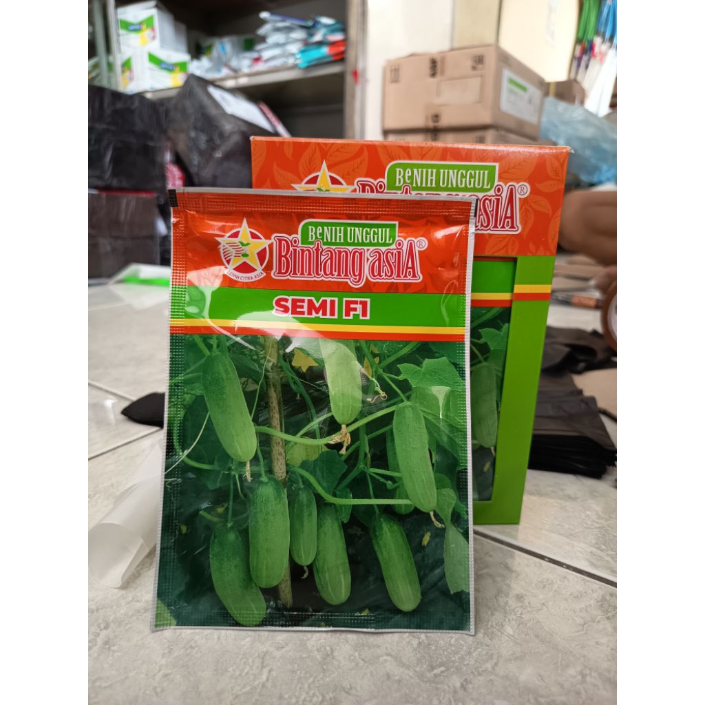 BENIH TIMUN SEMI F1/ BIBIT TIMUN BEBY - 20GR