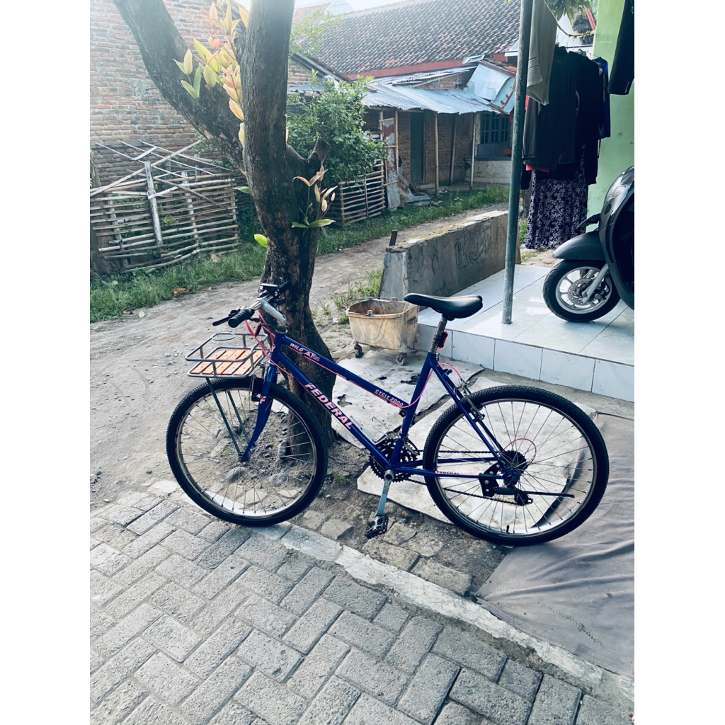 Sepeda Commuter bike Federal wild cat