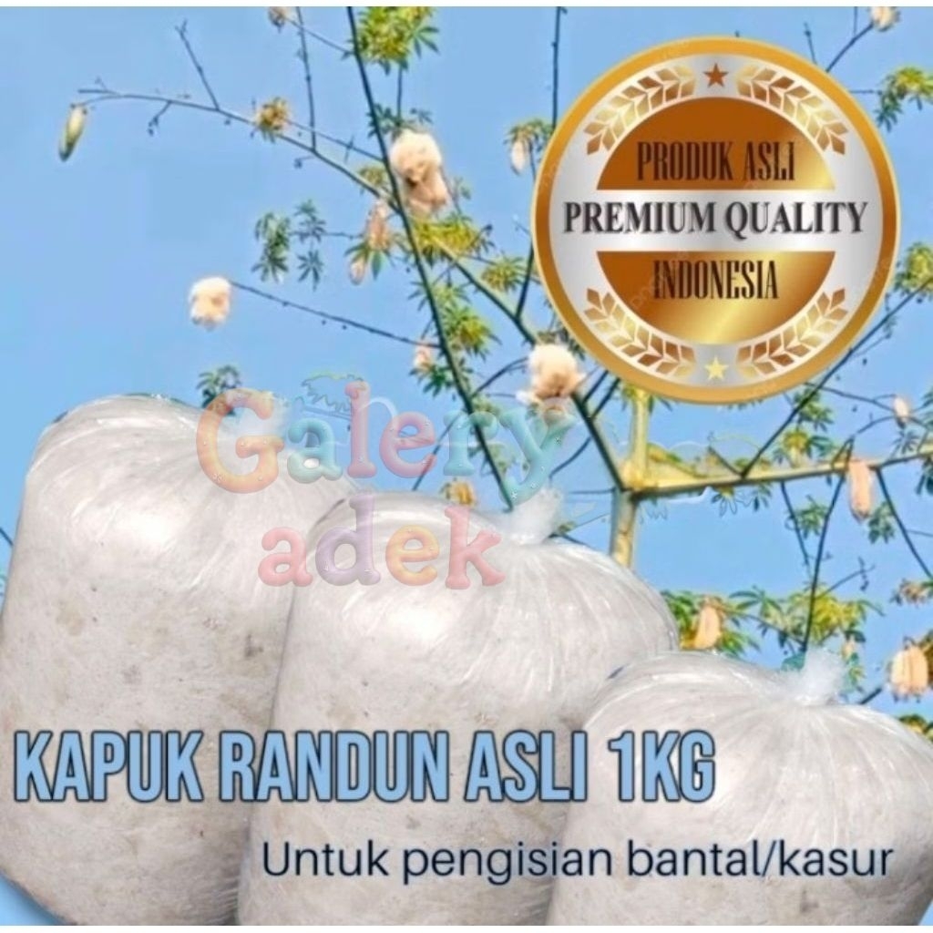 KAPUK RANDU 1KG | KAPUK TANPA BIJI | KAPUK ISIAN BANTAL&KASUR