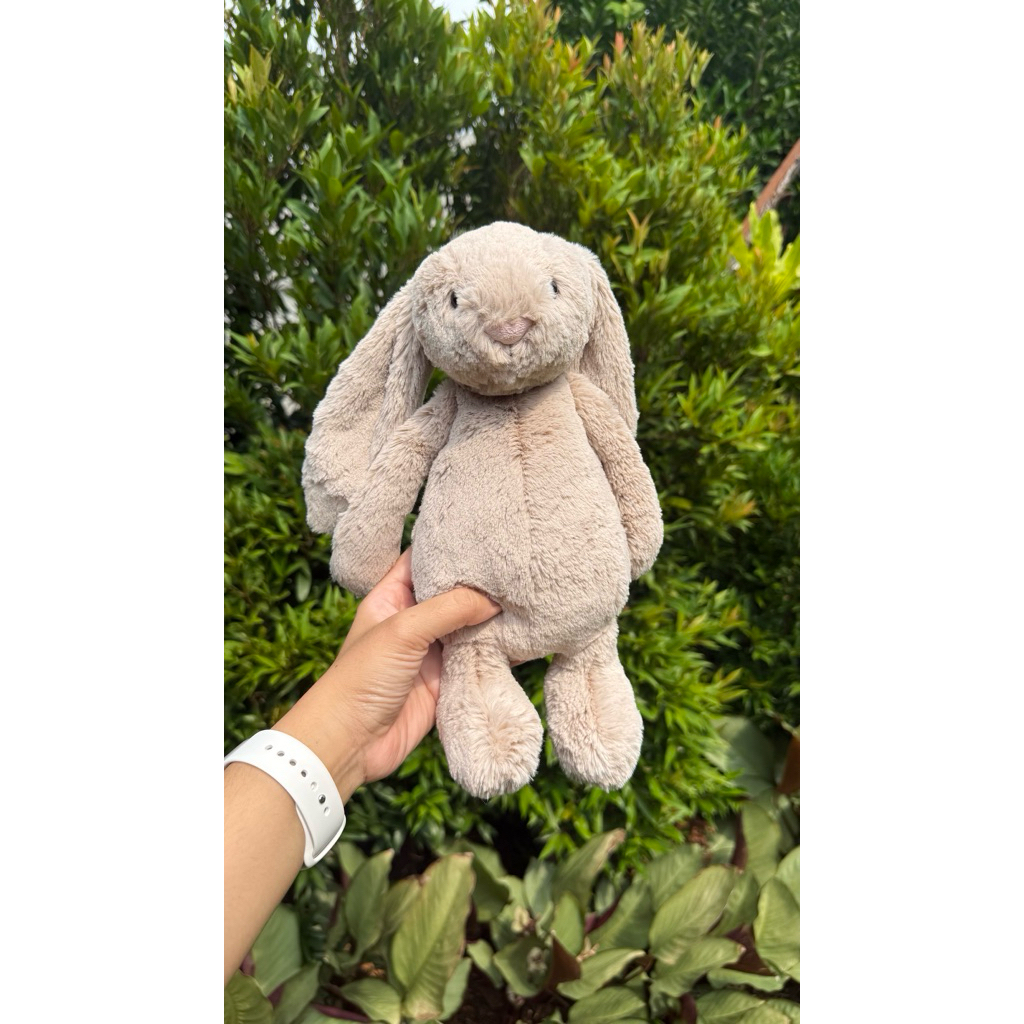 Jellycat bashful bunny medium