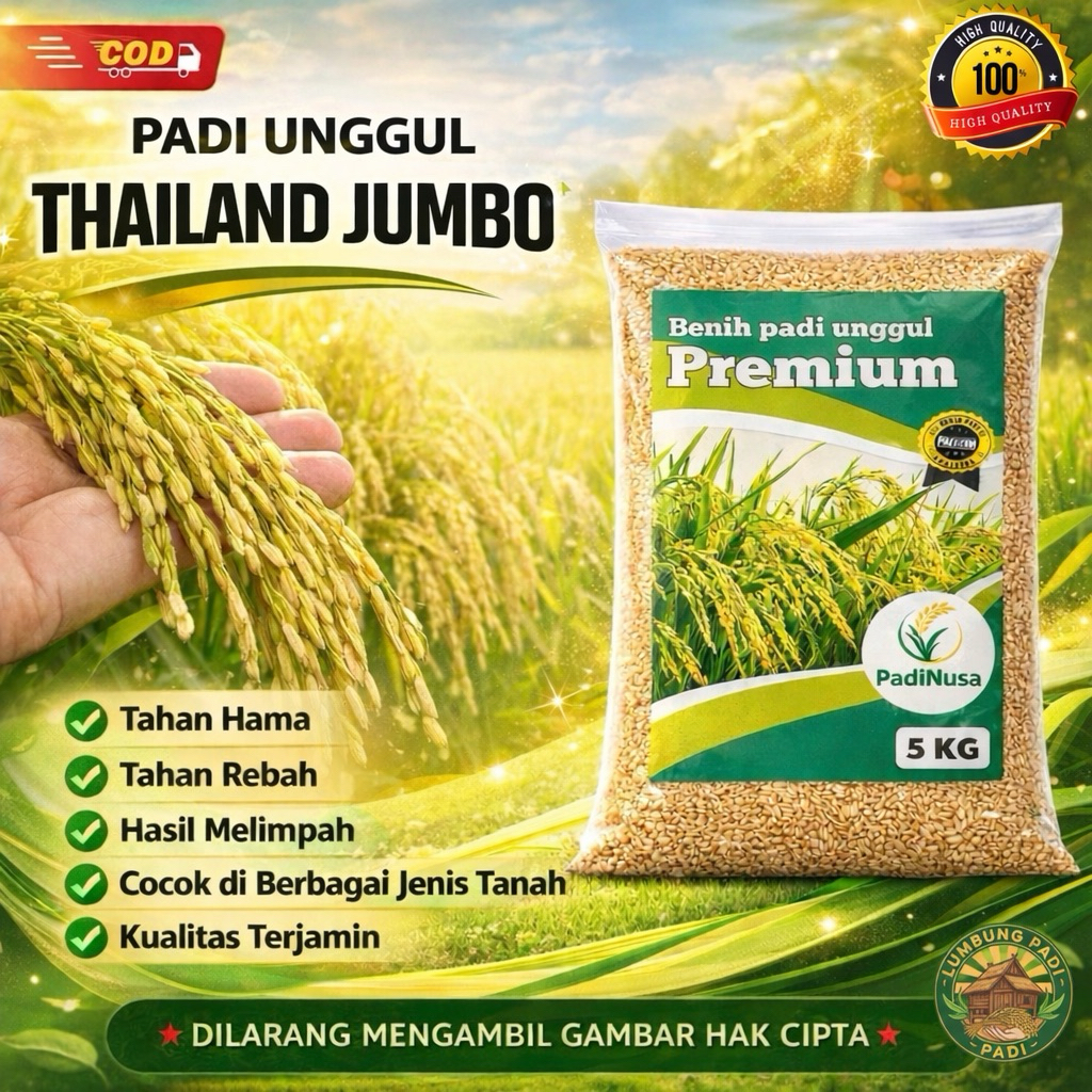 Benih padi THAILAND JUMBO bibit padi premium 1-5 KG benih padi unggul berkualitas