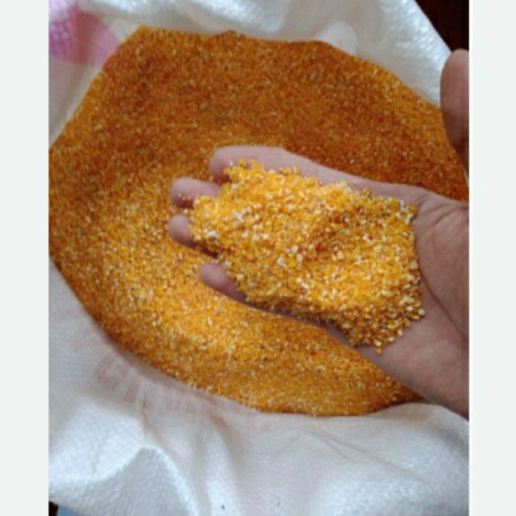 Jagung selep giling Kasar mix Halus pakan ayam burung