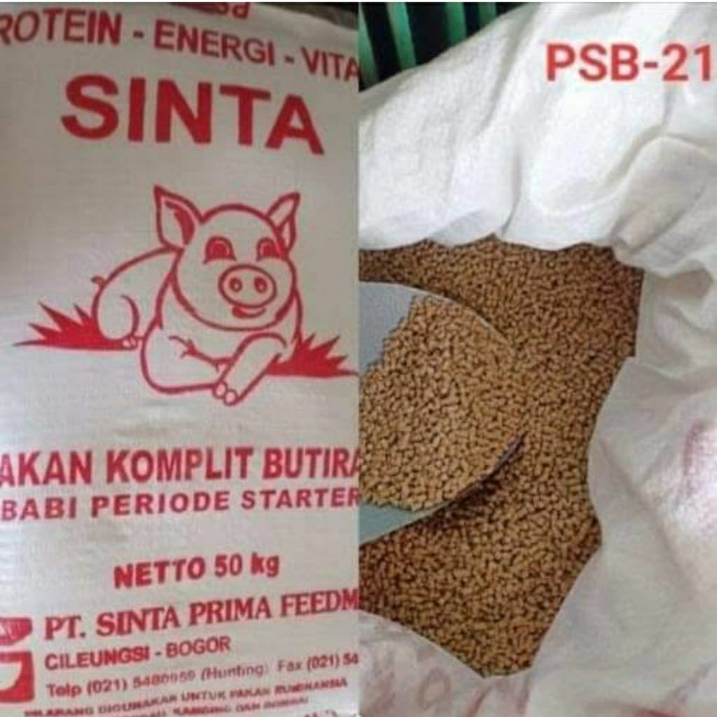 Sinta psb-21 pellet butiran penggemukan starter babi pakan ternak