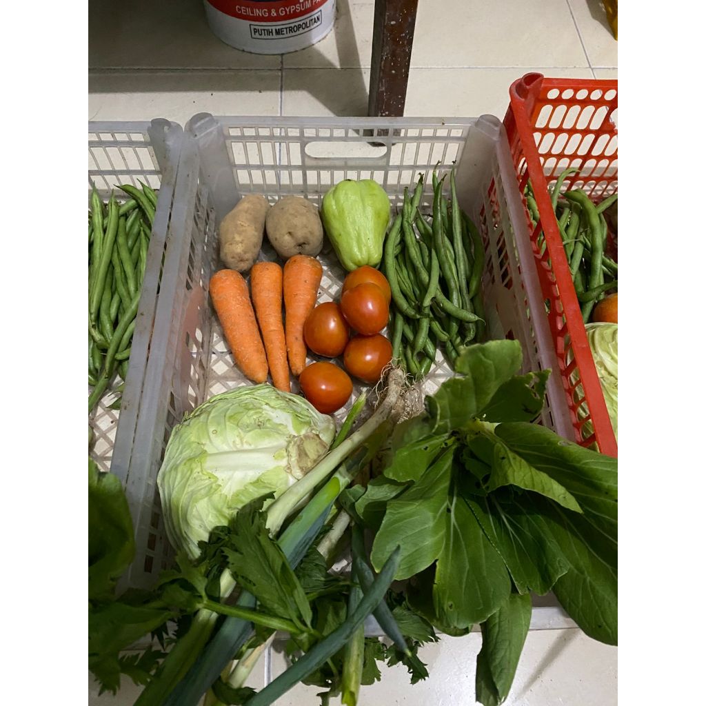 Sayur Sop Fresh Siap Masak | Paket Sayur Segar Harian