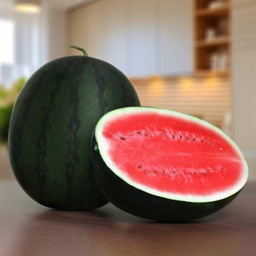 2 Benih Biji Semangka PRAYA F1