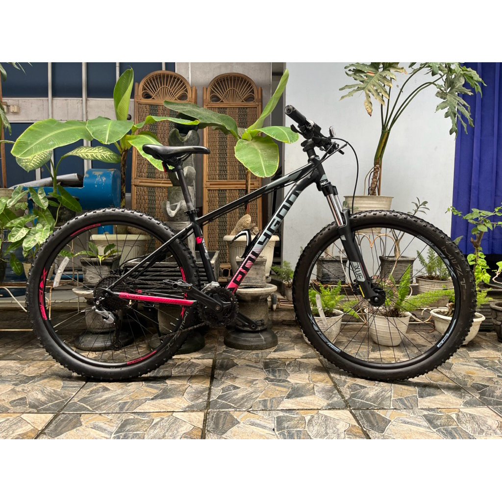 POLYGON PREMIER 5 2021