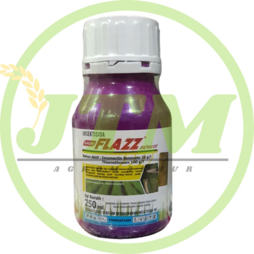 Sagri FLAZZ 20/100 EX