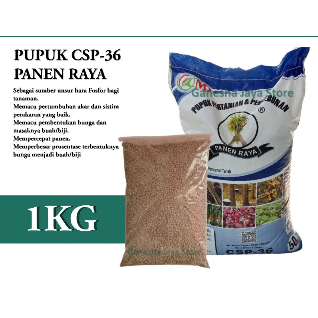 PUPUK CSP36 ORIGINAL- SUPER PHOSPHATE KALSIUM UNTUK PETANI REPAIK 1KG