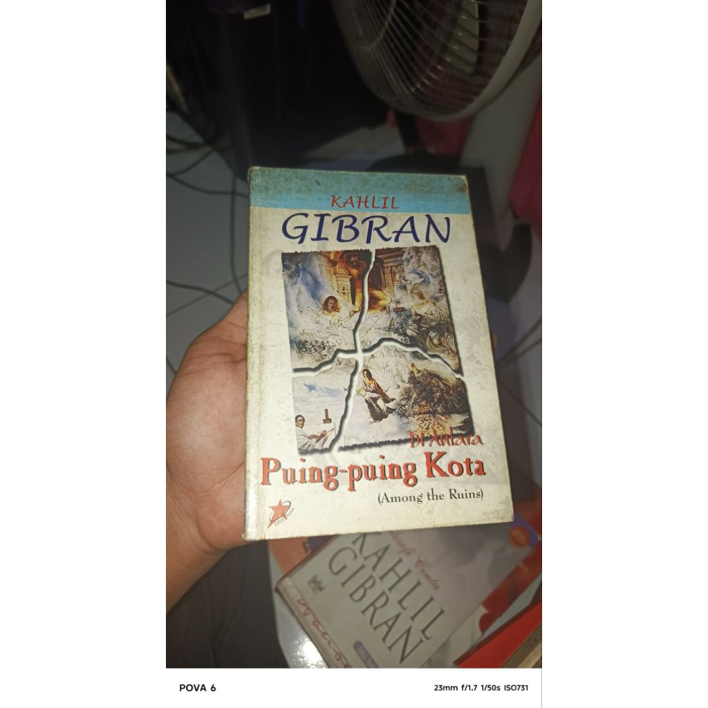 DIANTARA PUING PUING KOTA