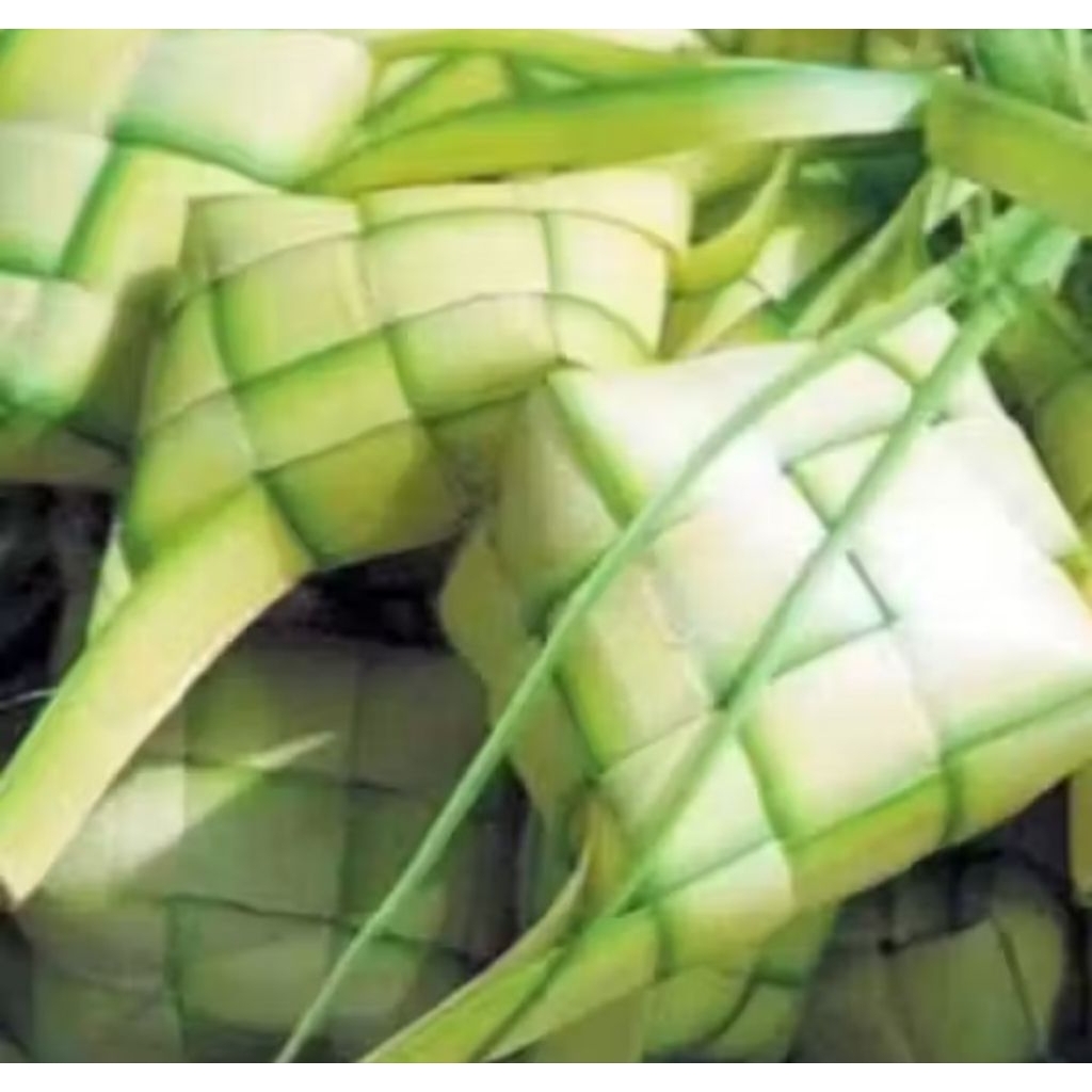 cangkang ketupat