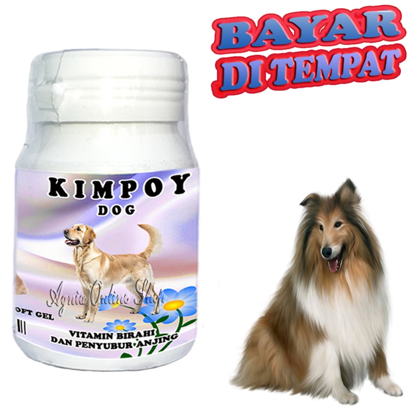 Vitamin Anjing KIMPOY DOG SOFT Pelancar Kawin Penyubur Birahi