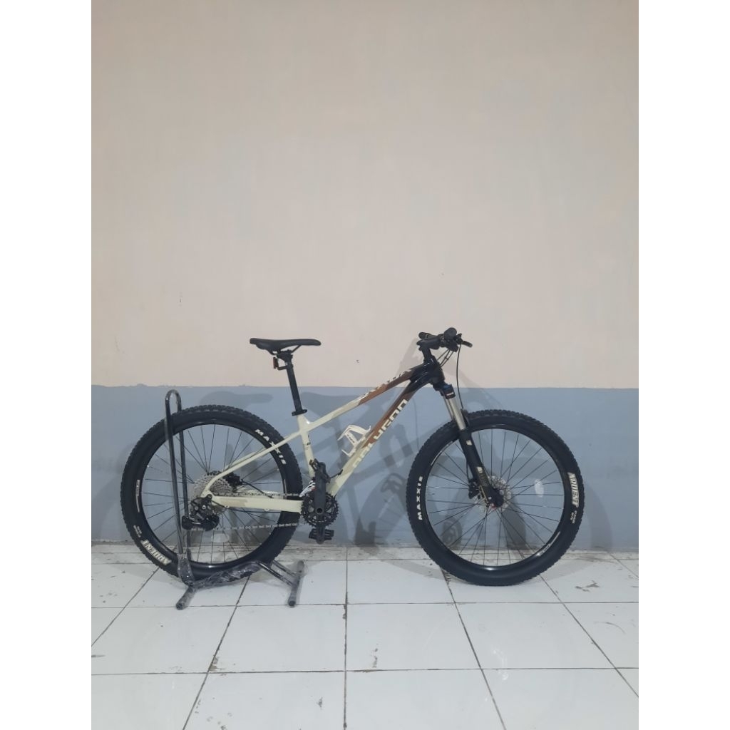 POLYGON XTRADA 6 TAHUN 2022 MOCCACHINO