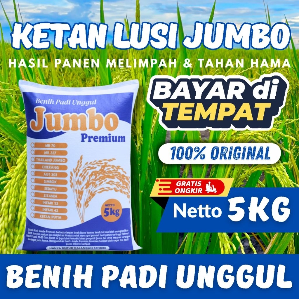 Benih Bibit Padi Unggul Ketan Lusi Kemasan 5Kg Original