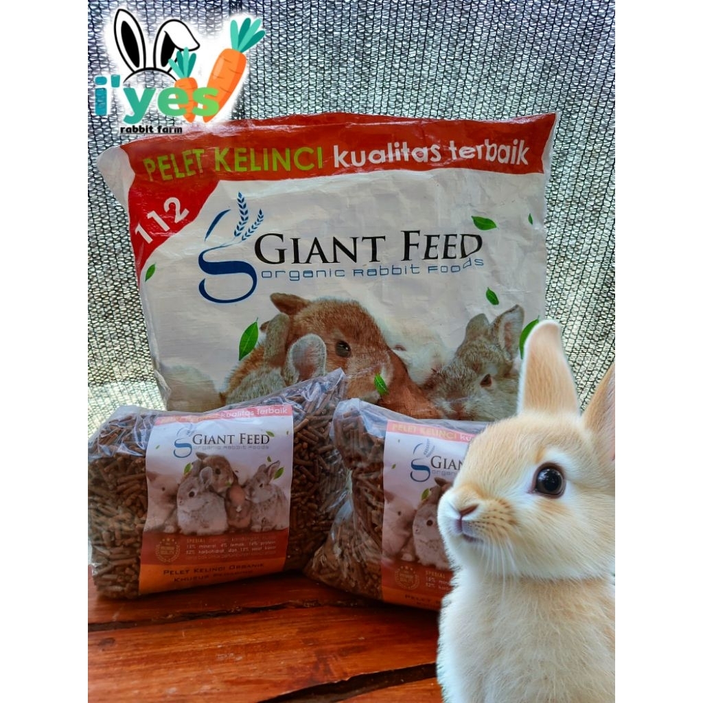 GIANT FEED-pakan premium kelinci