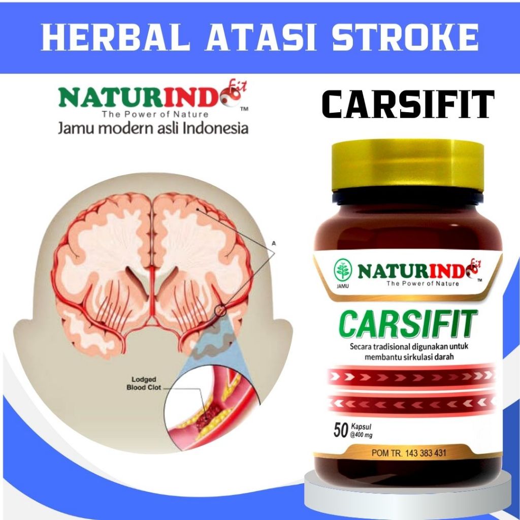 Obat stroke ringan berat mati sebelah gejala struk strok herbal carsifit