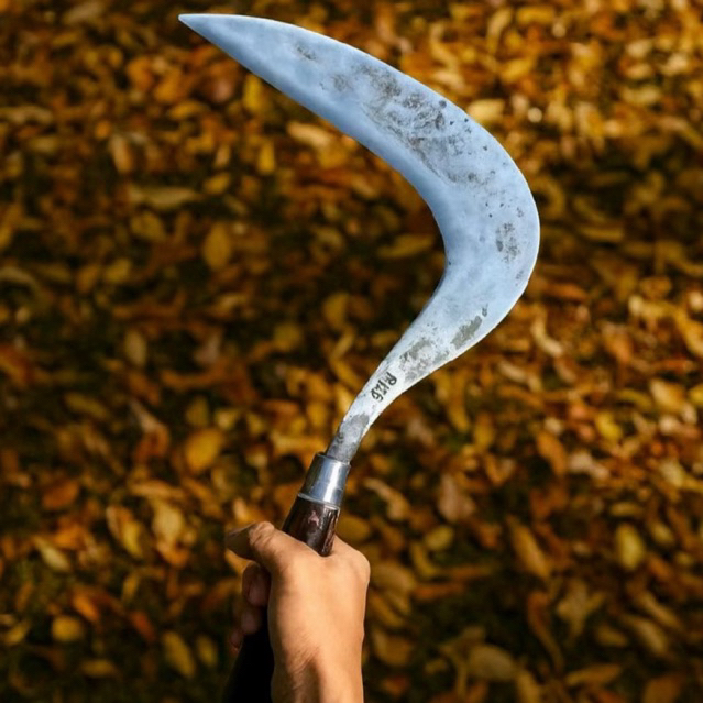 Arit Rumput Baja Per Model Maduraan Original Baja Per – Super Tajam | Perkakas Kebun & Sawah Multifu