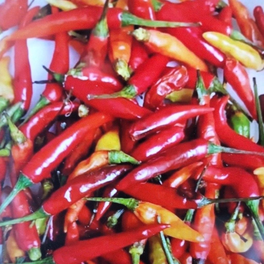 cabe rawit merah super fresh 500gr/1kg