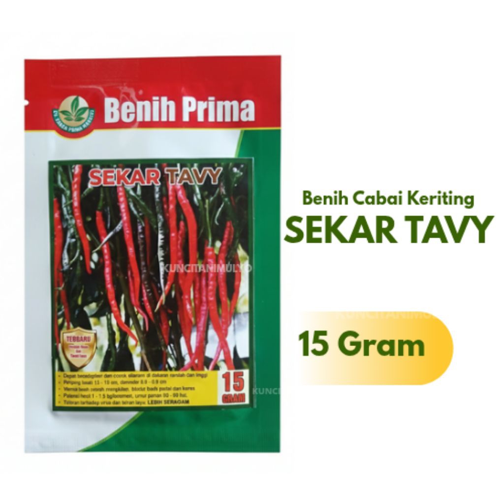 Benih Cabai Keriting  SEKAR TAVY Cabai Keriting Tahan Virus (15 gram)