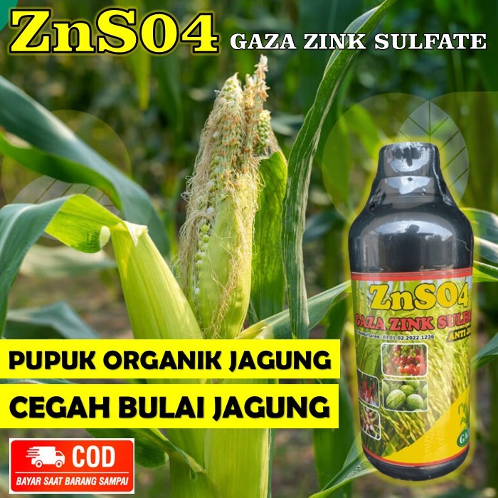 ZNSO4 Pupuk Untuk jagung mencegah bulai - pupuk organik cair Gaza Zink Sulfate ZNSO4 mengatasi bulai