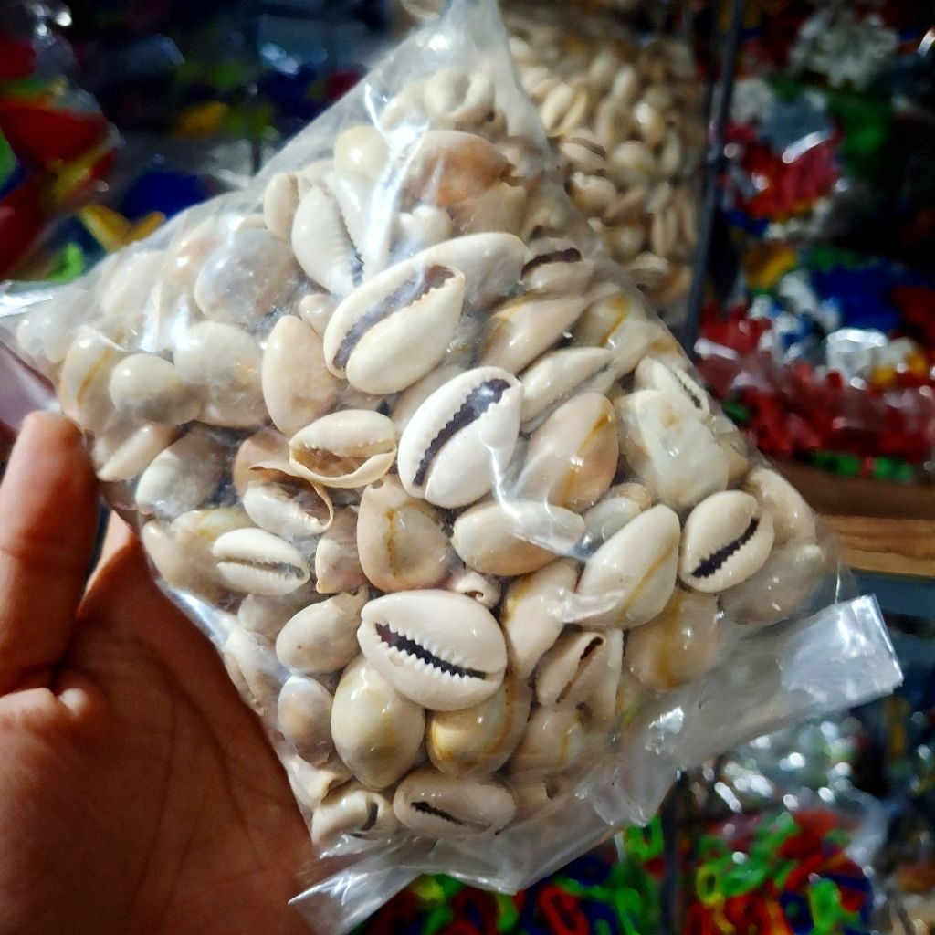250 Gram Kuwuk Asli Biji Congklak Kerang Asli Kuwuk isi -+150 pcs