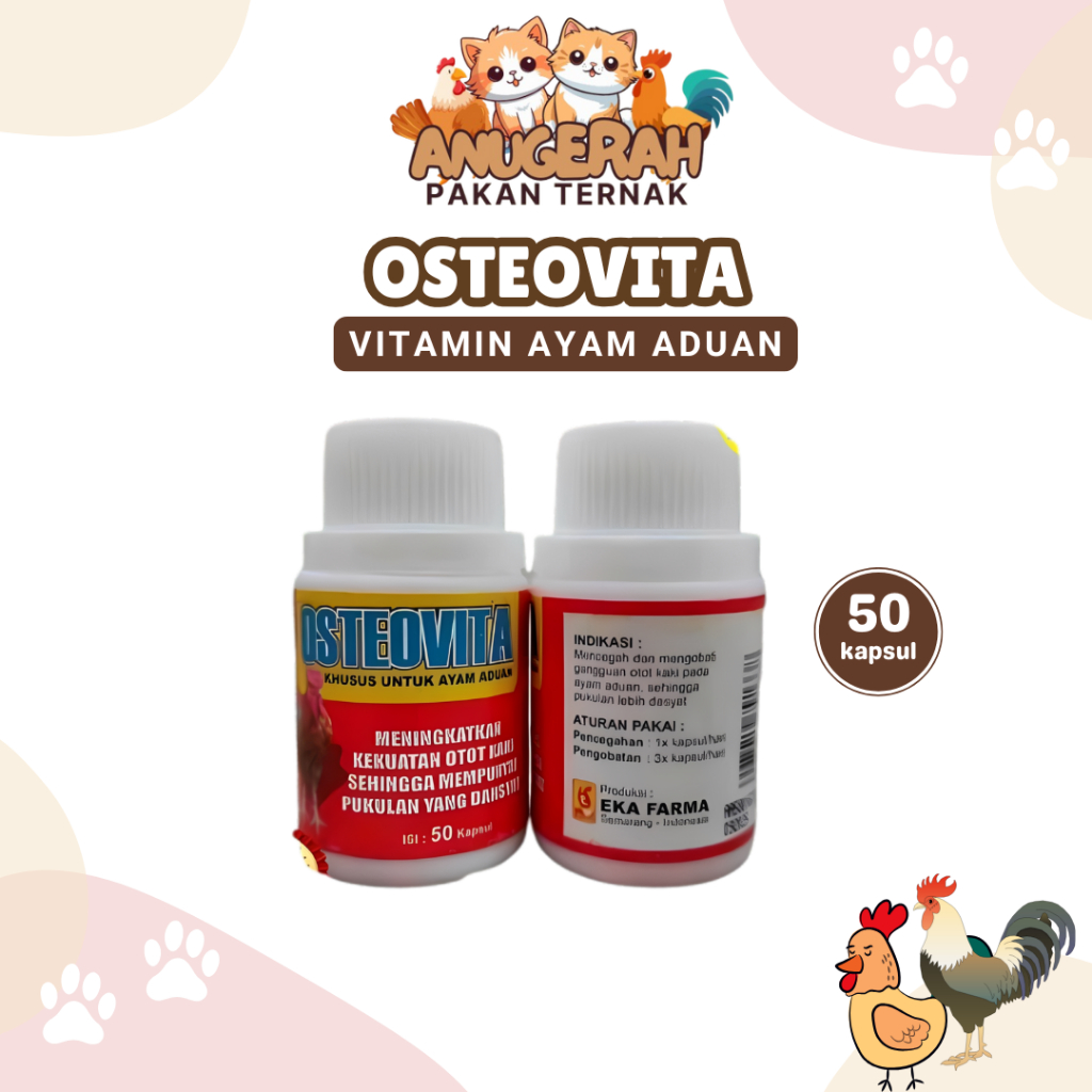 OSTEOVITA OBAT AYAM ADUAN PENGUAT OTOT KAKI 50 KAPSUL