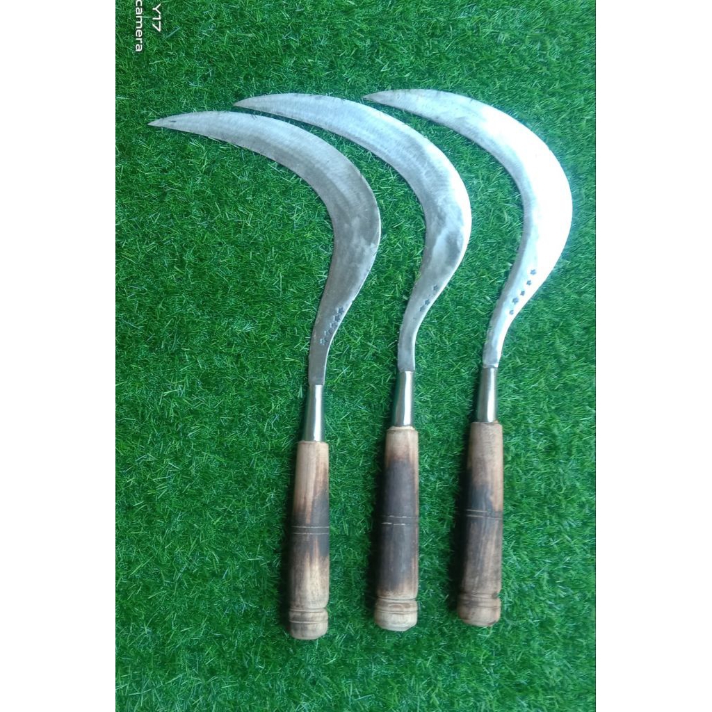 ALAT BUAT CARI RUMPUT DAN PANEN PADI SABIT ARIT KHAS MADURA