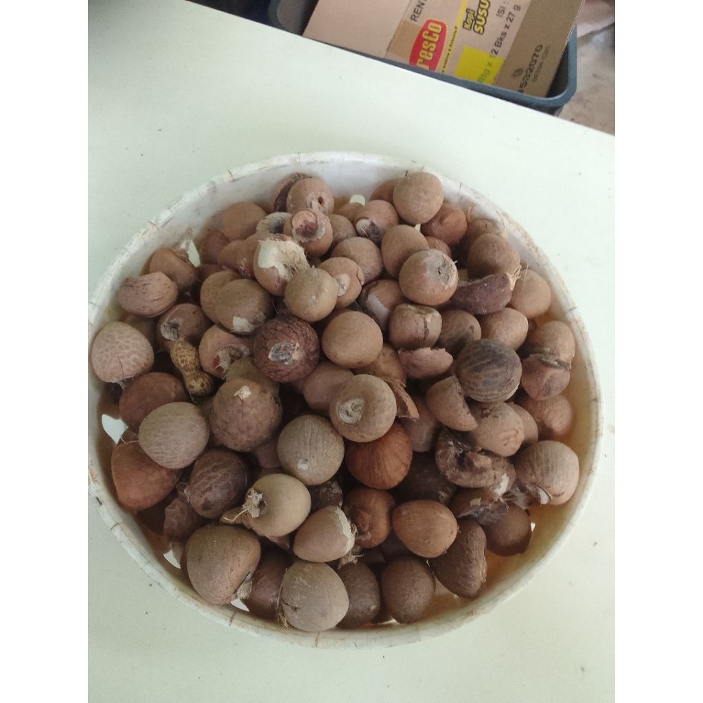pinang kering utuh bulat.1kg.
