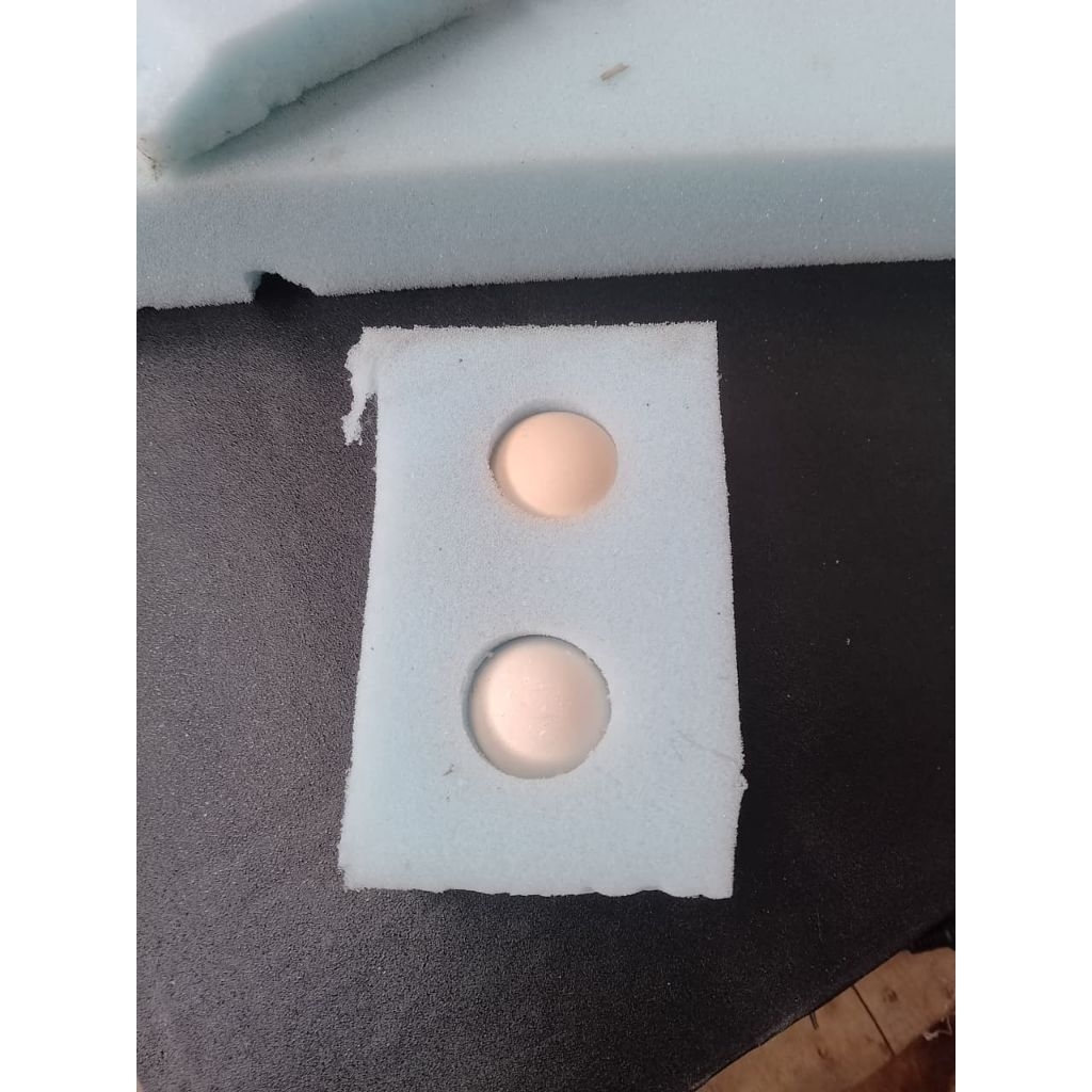 Telur Ayam Brahma Light Colombia