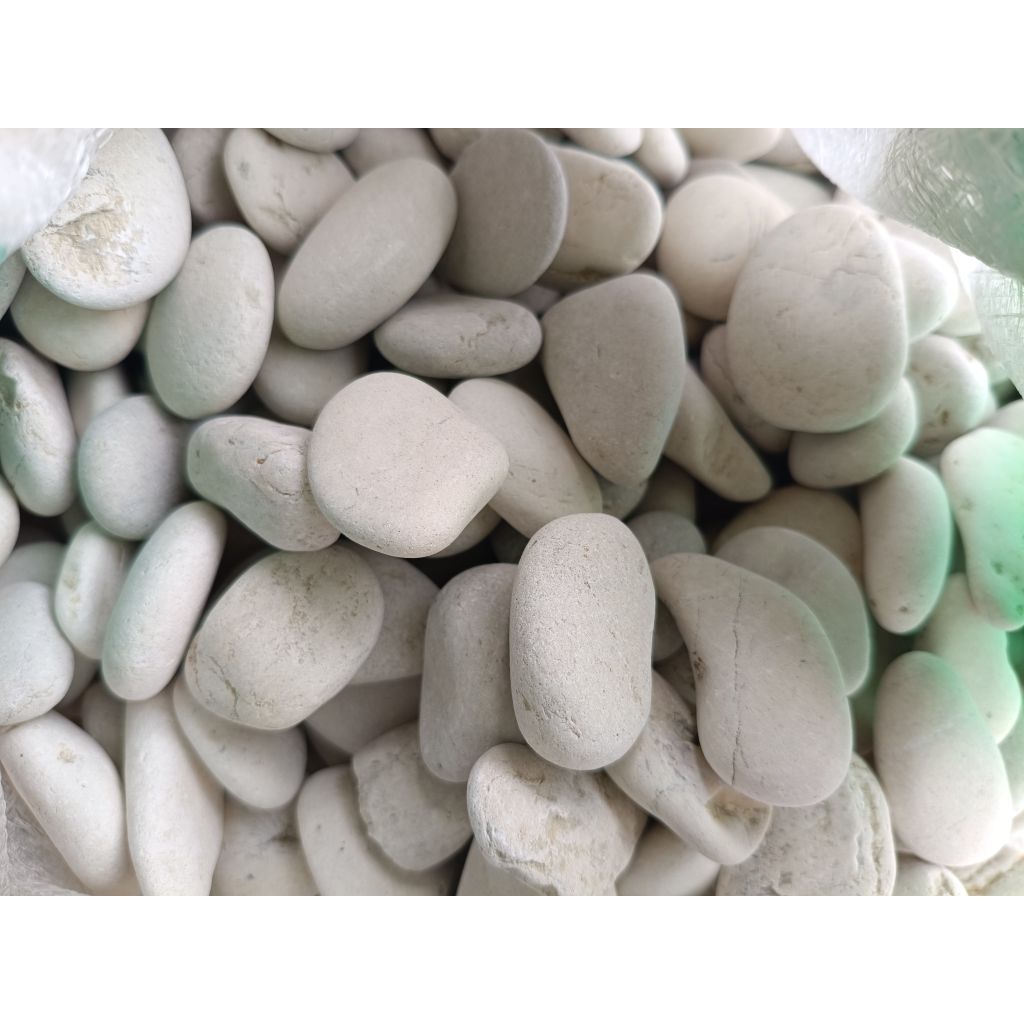 Batu taman putih batu kupang dekorasi taman batu coral putih 1 kg
