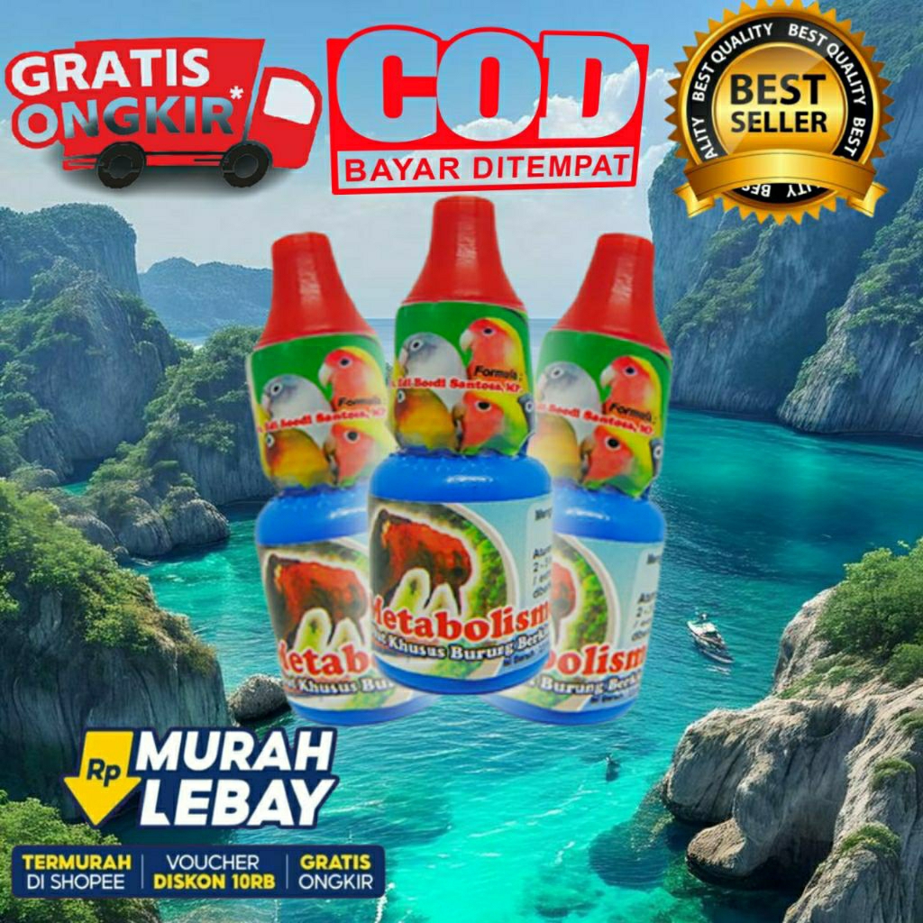 METABOLISME DRH EDI OBAT BURUNG OCEHAN SANG JUARA