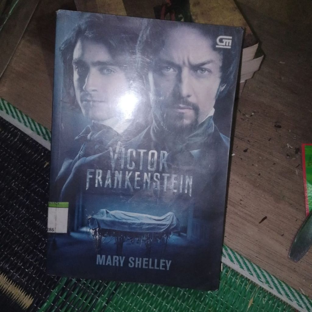 FRANKENSTEIN/novel Mary Shelley