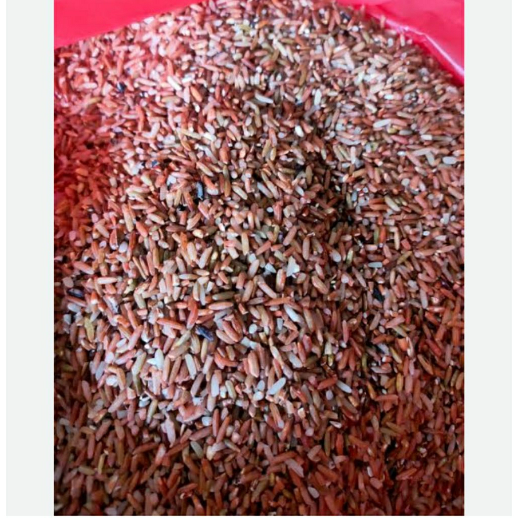 Beras merah pakan ayam burung