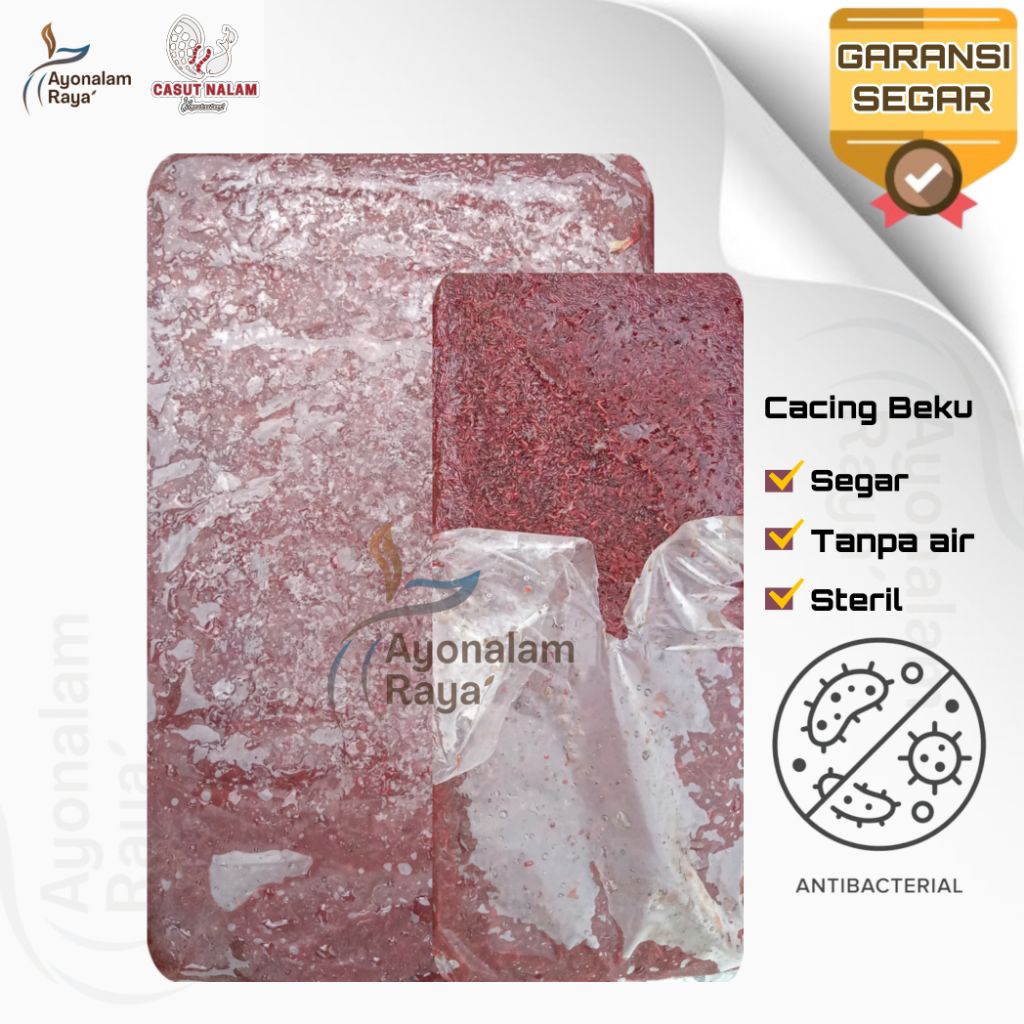 Cacing Beku Pakan Ikan Cupang Discus Bloodworm Tray